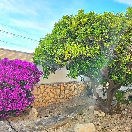 Lilly Vila Calpe
